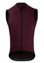 Load image into Gallery viewer, 2019 autumn top quality PRO TEAM lightweight windproof cycling GILET men or women cycling wind vest 2.0 cycling outwear